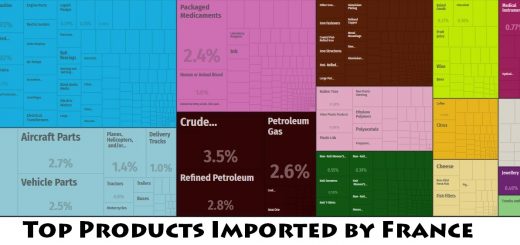 Top Products Imported by France