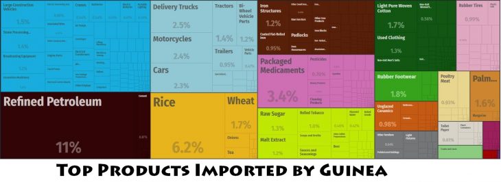 Top Products Imported by Guinea