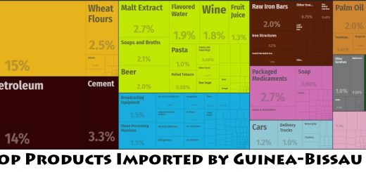 Top Products Imported by Guinea-Bissau