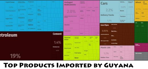 Top Products Imported by Guyana