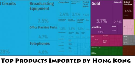 Top Products Imported by Hong Kong