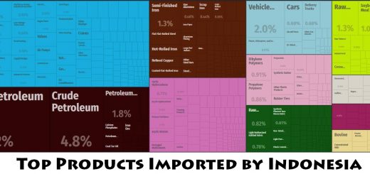 Top Products Imported by Indonesia