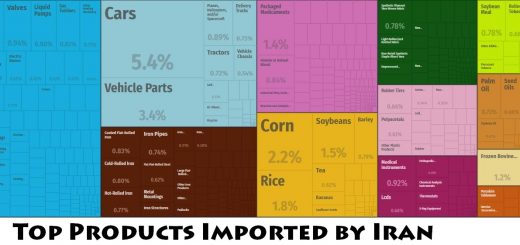 Top Products Imported by Iran