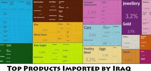 Top Products Imported by Iraq