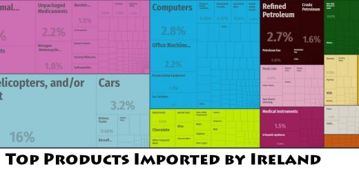 Top Products Imported by Ireland
