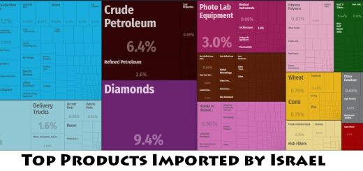 Top Products Imported by Israel