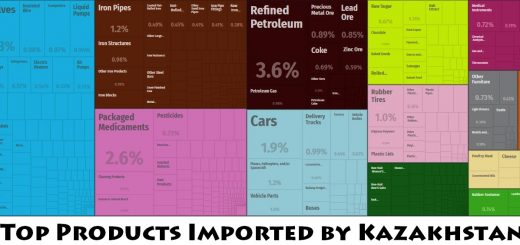 Top Products Imported by Kazakhstan