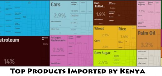 Top Products Imported by Kenya