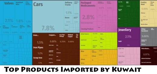Top Products Imported by Kuwait