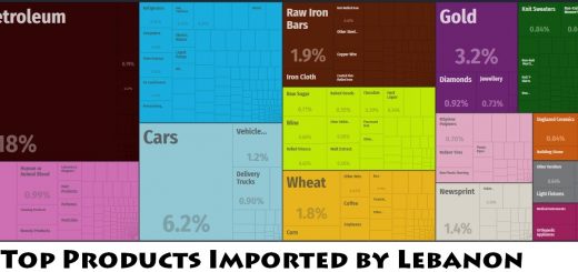 Top Products Imported by Lebanon