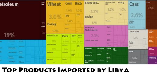 Top Products Imported by Libya