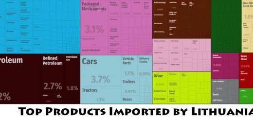 Top Products Imported by Lithuania