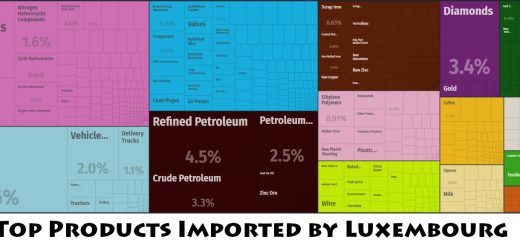 Top Products Imported by Luxembourg