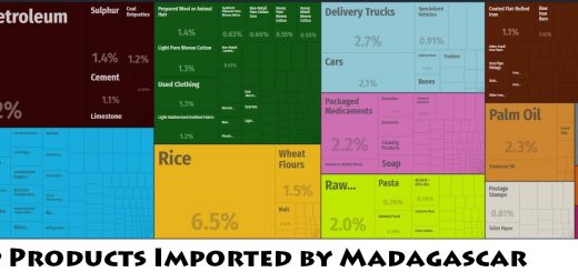 Top Products Imported by Madagascar