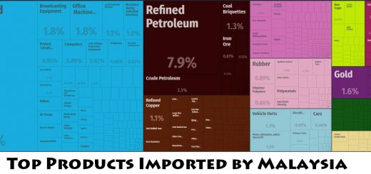 Top Products Imported by Malaysia