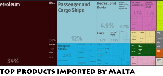 Top Products Imported by Malta