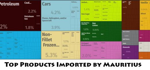 Top Products Imported by Mauritius