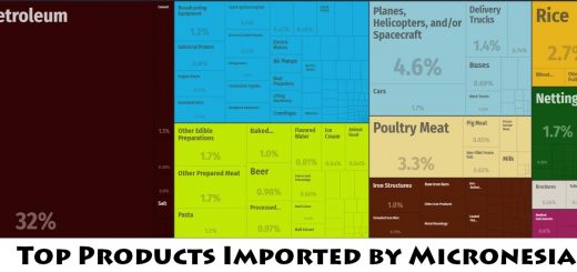 Top Products Imported by Micronesia