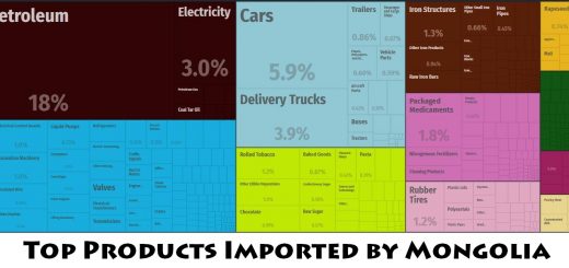 Top Products Imported by Mongolia