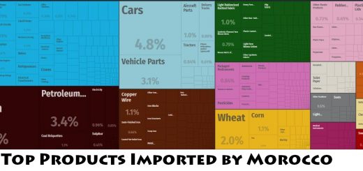 Top Products Imported by Morocco