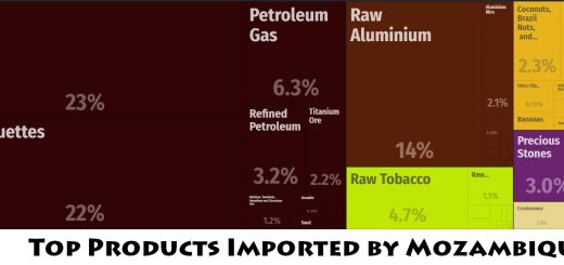 Top Products Imported by Mozambique