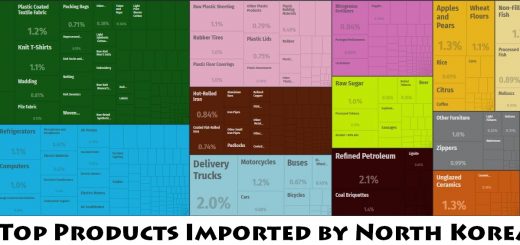 Top Products Imported by North Korea