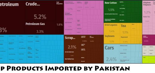 Top Products Imported by Pakistan