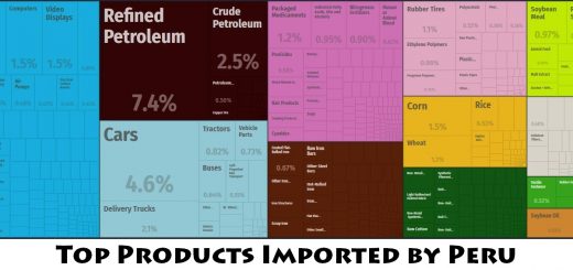 Top Products Imported by Peru