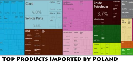 Top Products Imported by Poland