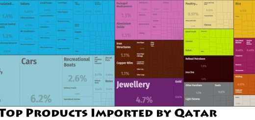Top Products Imported by Qatar