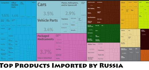 Top Products Imported by Russia