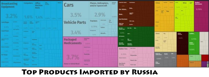 Top Products Imported by Russia