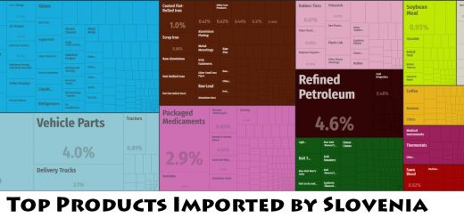 Top Products Imported by Slovenia