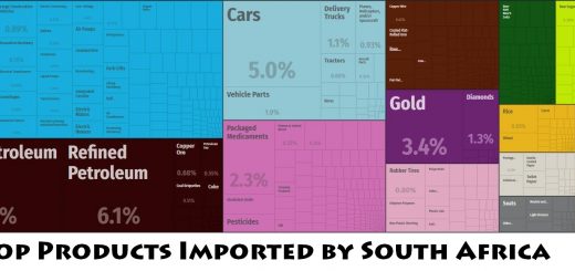 Top Products Imported by South Africa