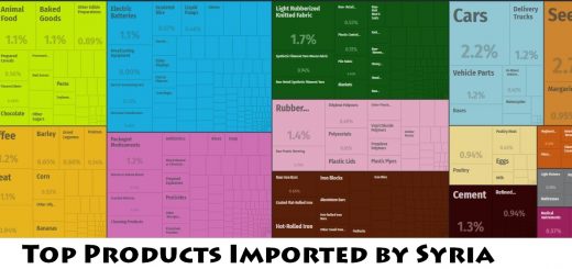 Top Products Imported by Syria