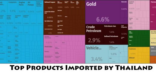 Top Products Imported by Thailand