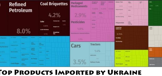 Top Products Imported by Ukraine