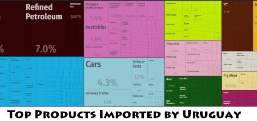 Top Products Imported by Uruguay