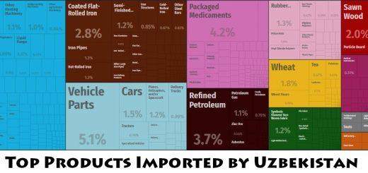 Top Products Imported by Uzbekistan