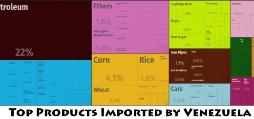 Top Products Imported by Venezuela