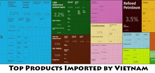 Top Products Imported by Vietnam