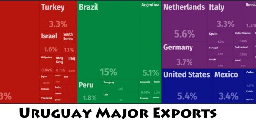 Uruguay Major Exports