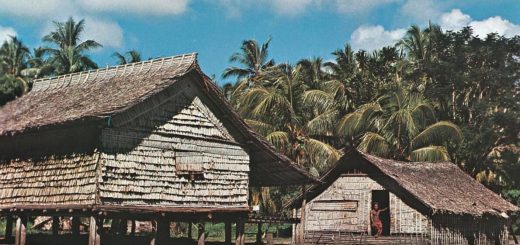 Solomon Islands Country Population