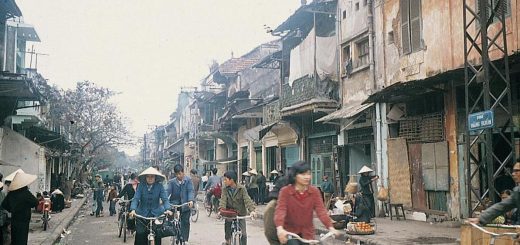Vietnam Country Population